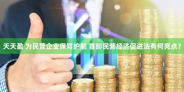 天天盈 为民营企业保驾护航 首部民营经济促进法有何亮点？
