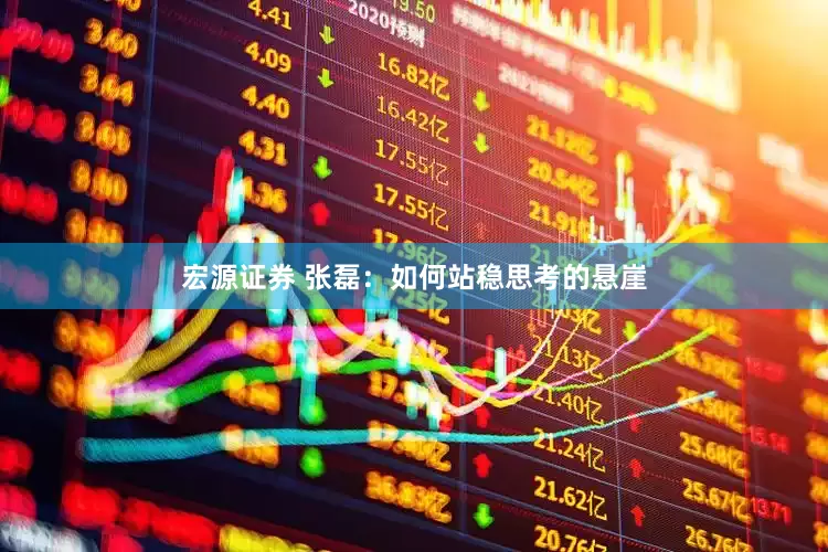 宏源证券 张磊：如何站稳思考的悬崖